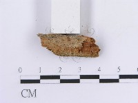 登錄號:F0016753藏品圖，第3張