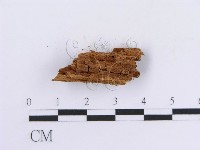 登錄號:F0016753藏品圖，第4張