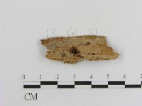 登錄號:F0016754藏品圖，第1張