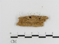登錄號:F0016754藏品圖，第3張