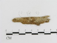 登錄號:F0016755藏品圖，第1張