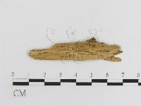 登錄號:F0016755藏品圖，第3張