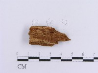 登錄號:F0016756藏品圖，第3張
