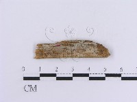 登錄號:F0016757藏品圖，第1張