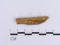 登錄號:F0016757藏品圖，第3張