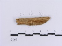 登錄號:F0016757藏品圖，第4張