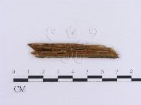 登錄號:F0016758藏品圖，第3張
