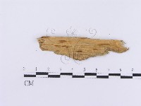 登錄號:F0016759藏品圖，第3張