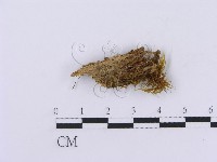 登錄號:F0016760藏品圖，第1張