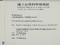 登錄號:F0016761藏品圖，第2張