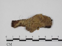 登錄號:F0016761藏品圖，第1張