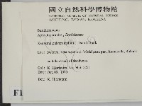 登錄號:F0016762藏品圖，第2張