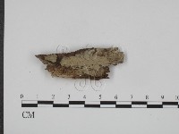 登錄號:F0016762藏品圖，第1張