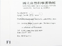 登錄號:F0016764藏品圖，第2張