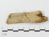 登錄號:F0016764藏品圖，第1張