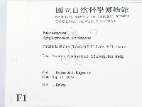 登錄號:F0016766藏品圖，第2張