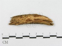 登錄號:F0016766藏品圖，第3張