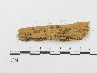 登錄號:F0016767藏品圖，第1張