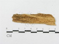 登錄號:F0016767藏品圖，第3張