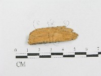 登錄號:F0016768藏品圖，第4張