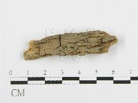 登錄號:F0016769藏品圖，第1張