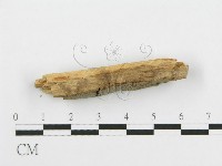 登錄號:F0016769藏品圖，第3張