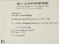 登錄號:F0016770藏品圖，第2張