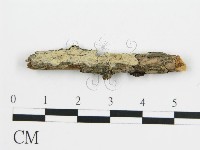 登錄號:F0016772藏品圖，第1張