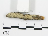 登錄號:F0016772藏品圖，第3張