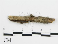 登錄號:F0016772藏品圖，第4張