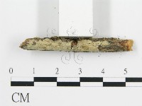 登錄號:F0016772藏品圖，第5張