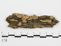 登錄號:F0016773藏品圖，第1張