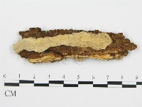 登錄號:F0016773藏品圖，第3張