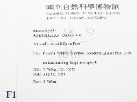 登錄號:F0016775藏品圖，第2張