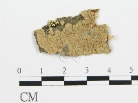 登錄號:F0016775藏品圖，第1張