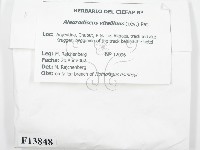 登錄號:F0016776藏品圖，第2張