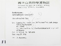 登錄號:F0016777藏品圖，第2張