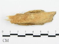 登錄號:F0016777藏品圖，第4張