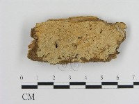 登錄號:F0016781藏品圖，第1張