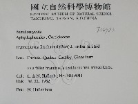 登錄號:F0016783藏品圖，第2張