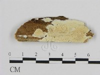 登錄號:F0016784藏品圖，第1張