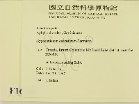 登錄號:F0016786藏品圖，第2張