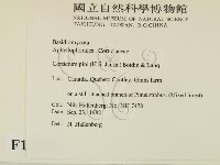 登錄號:F0016789藏品圖，第2張