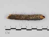 登錄號:F0016789藏品圖，第1張