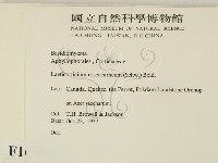 登錄號:F0016790藏品圖，第2張