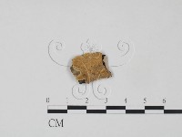 登錄號:F0016790藏品圖，第1張