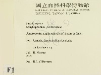 登錄號:F0016791藏品圖，第2張