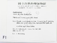 登錄號:F0016793藏品圖，第2張
