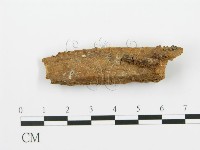 登錄號:F0016793藏品圖，第1張