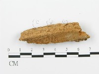 登錄號:F0016793藏品圖，第4張